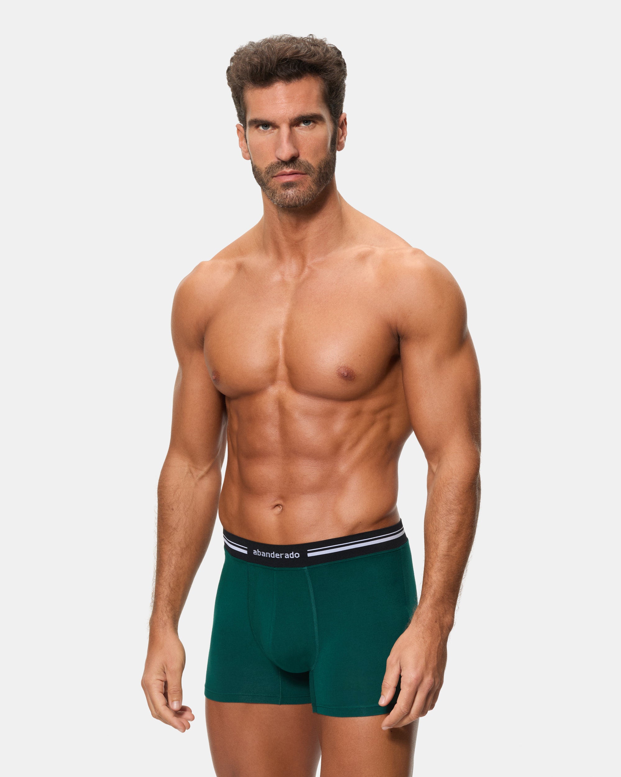 Abanderado Bóxer Cerrado Cintura Extra Suave Algodón Elástico verde oscuro hombre