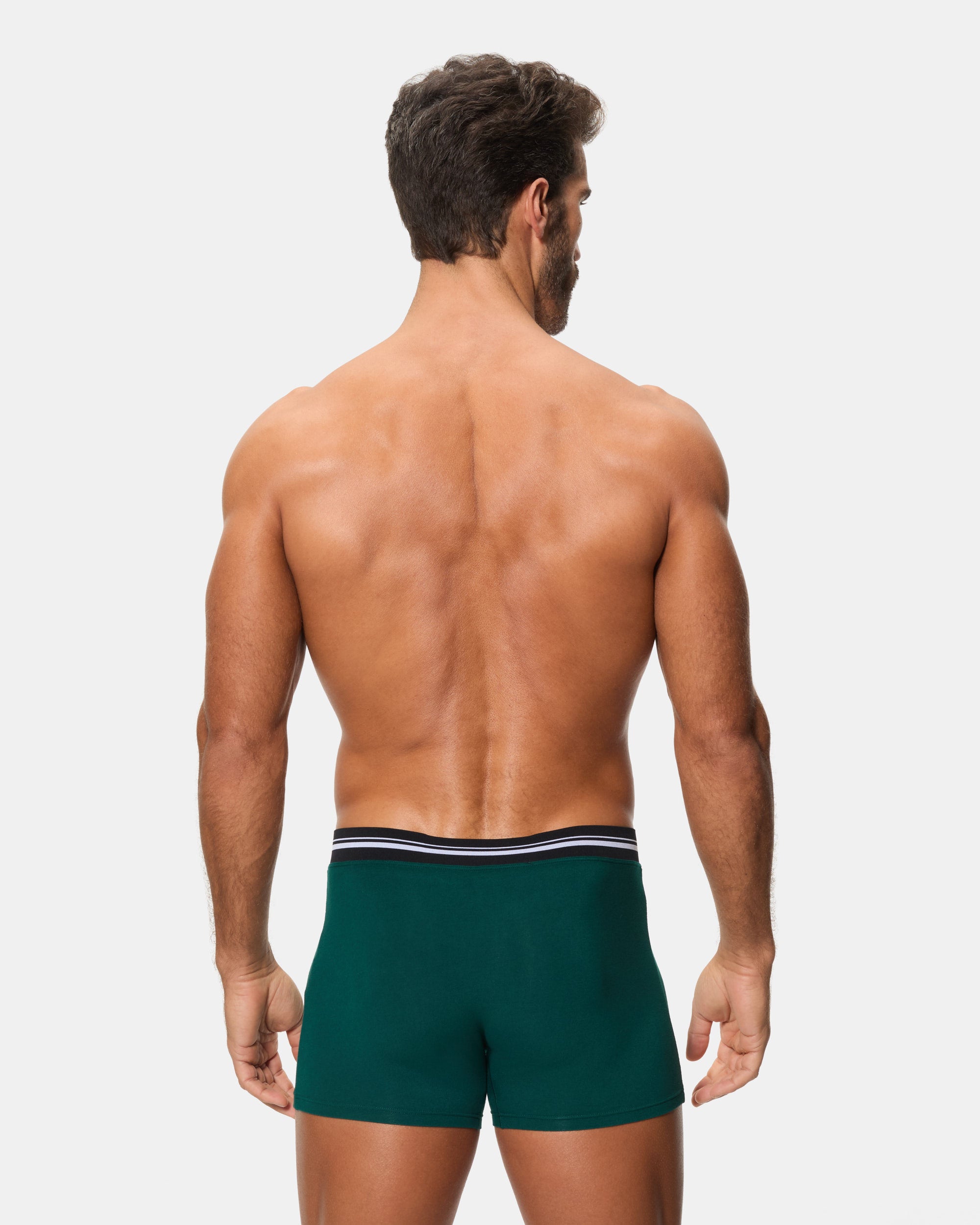 Abanderado Bóxer Cerrado Cintura Extra Suave Algodón Elástico verde oscuro hombre