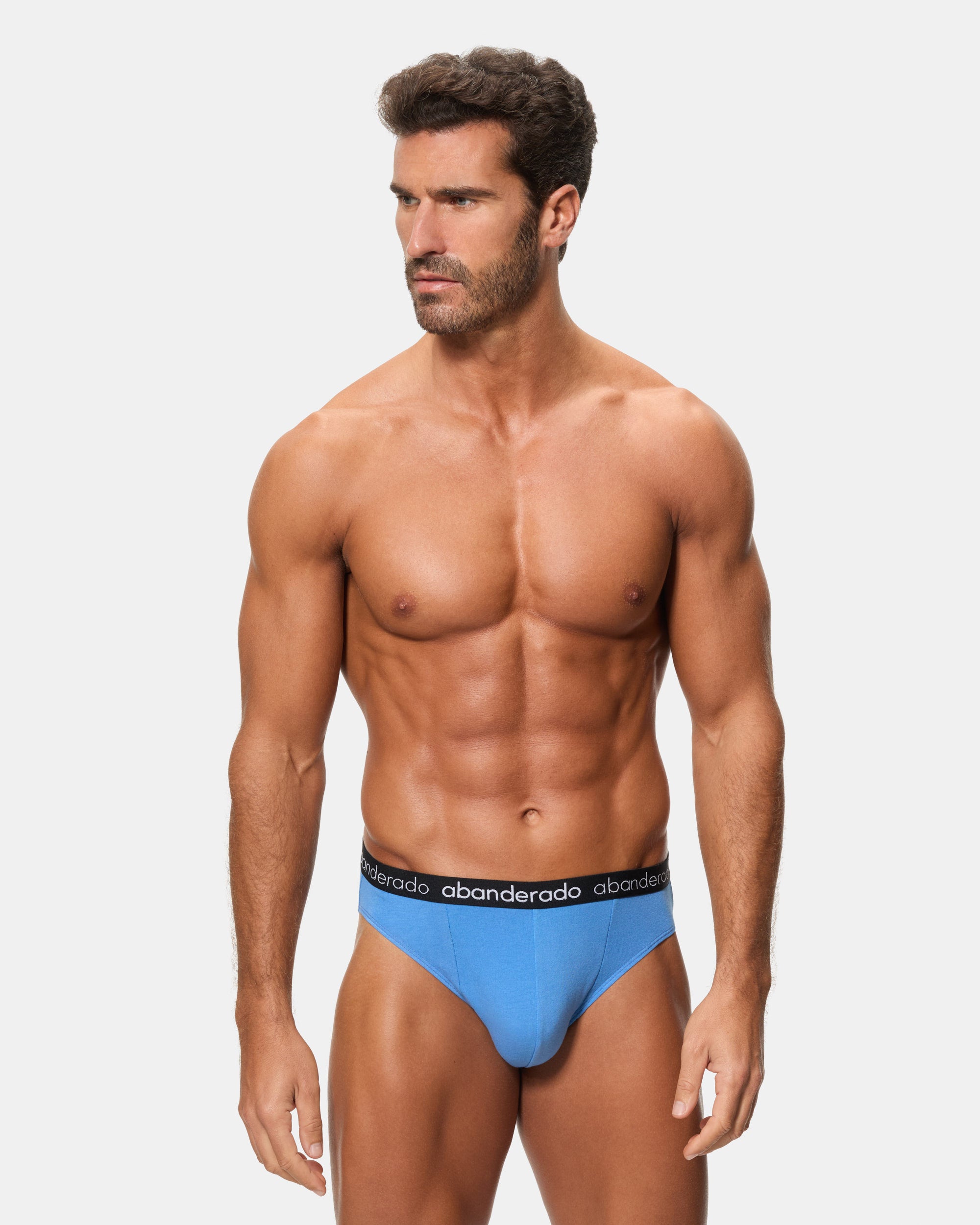 Abanderado Pack of 2 Elastic Cotton Briefs with a blue-gray and blue elastic waistband for men