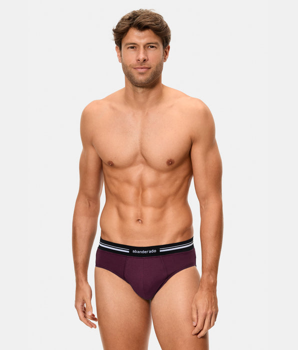 Abanderado Slip Cerrado Cintura Extra Suave Algodón Elástico ciruela hombre