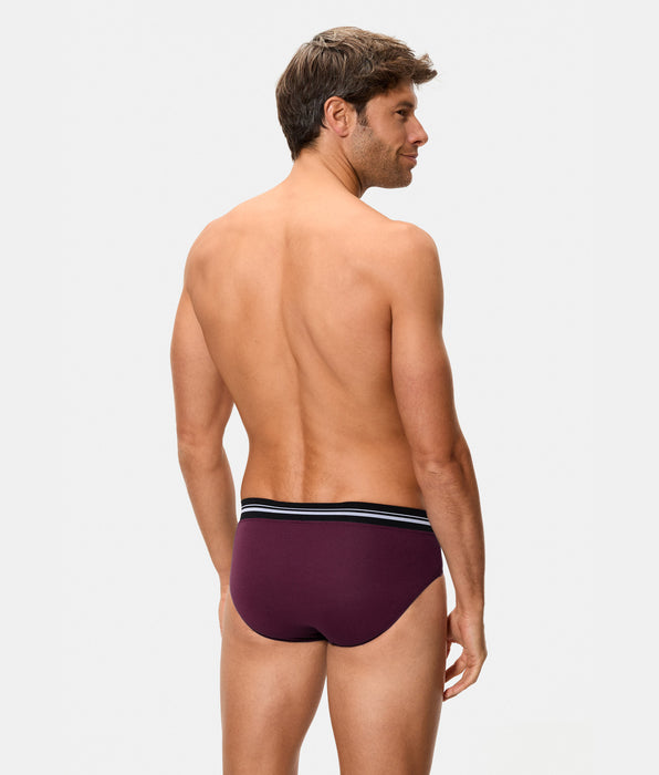 Abanderado Slip Cerrado Cintura Extra Suave Algodón Elástico ciruela hombre