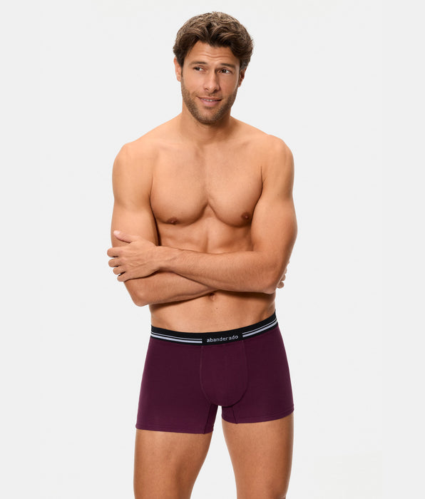 Abanderado Bóxer Cerrado Cintura Extra Suave Algodón Elástico ciruela hombre