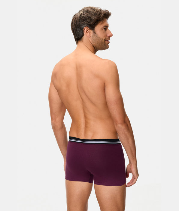 Abanderado Bóxer Cerrado Cintura Extra Suave Algodón Elástico ciruela hombre