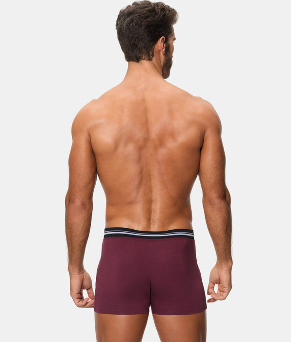 Abanderado Bóxer Cerrado Cintura Extra Suave Algodón Elástico ciruela hombre