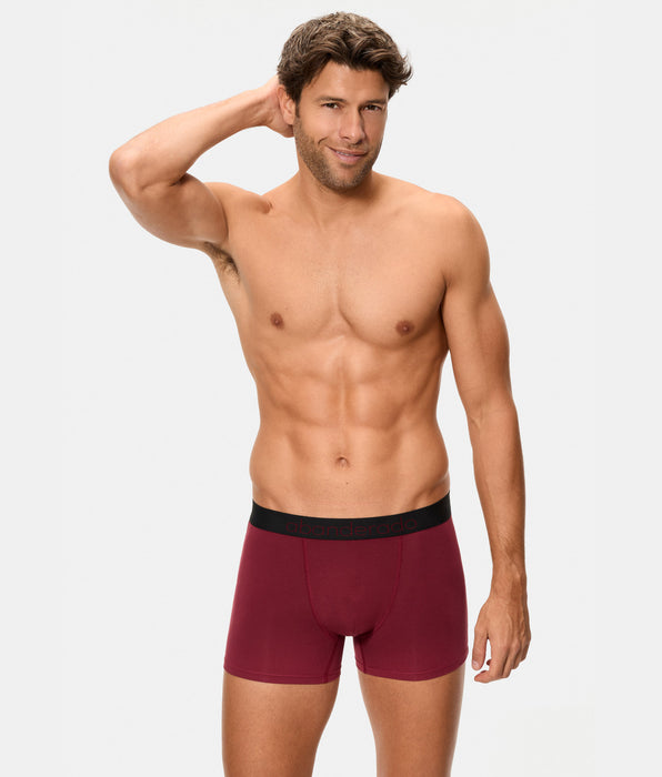 Abanderado Pack de 2 Boxers Fechados Premium Sensitive Line azul escuro e castanho para homem