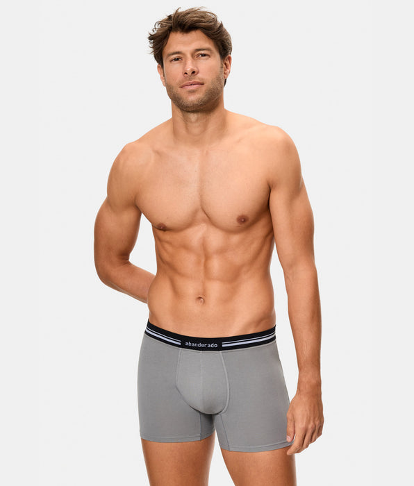 Abanderado Bóxer cerrado de hombre con cintura extrasuave compresión inteligente gris