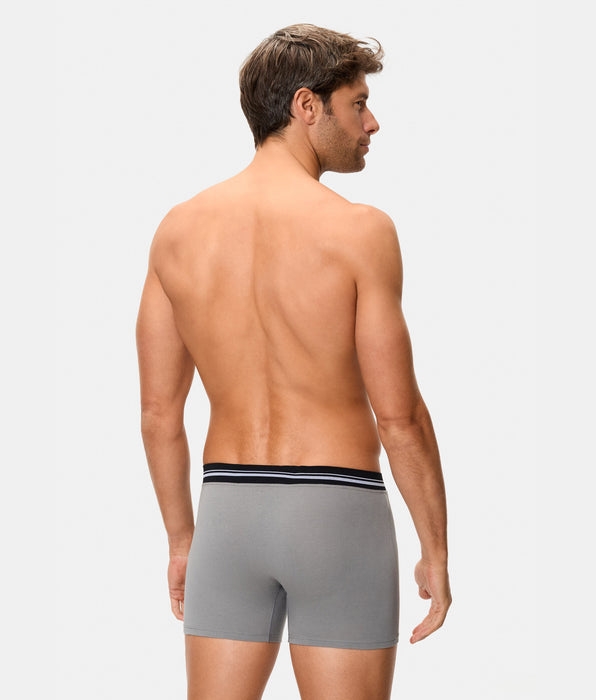 Abanderado Bóxer cerrado de hombre con cintura extrasuave compresión inteligente gris