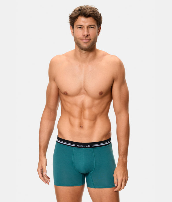 Abanderado Bóxer cerrado de hombre con cintura extrasuave compresión inteligente verde