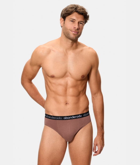 Abanderado Pack de dos slips de hombre de algodón elástico logo cintura verde y canela