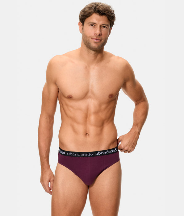 Abanderado Pack de dos slips de hombre de algodón elástico logo cintura burdeos y gris