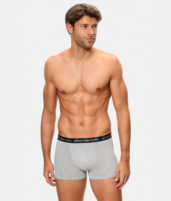 Abanderado Pack de dos boxers de hombre de algodón elástico logo cintura burdeos y gris