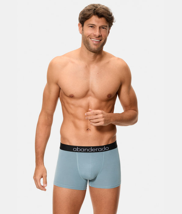 Abanderado Pack de dos bóxers fibra de bambú Natural Comfort grises